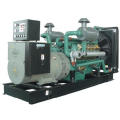 Weichai Diesel Generator Set (BWX302)